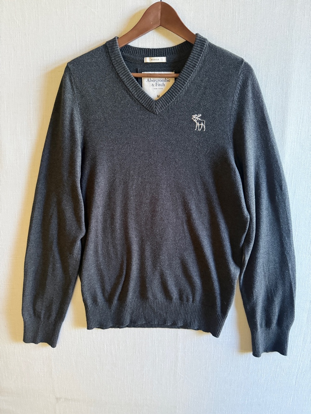 Abercrombie & Fitch Mens Charcoal Grey V-Neck Sweater Size M Cotton Cashmere Moo